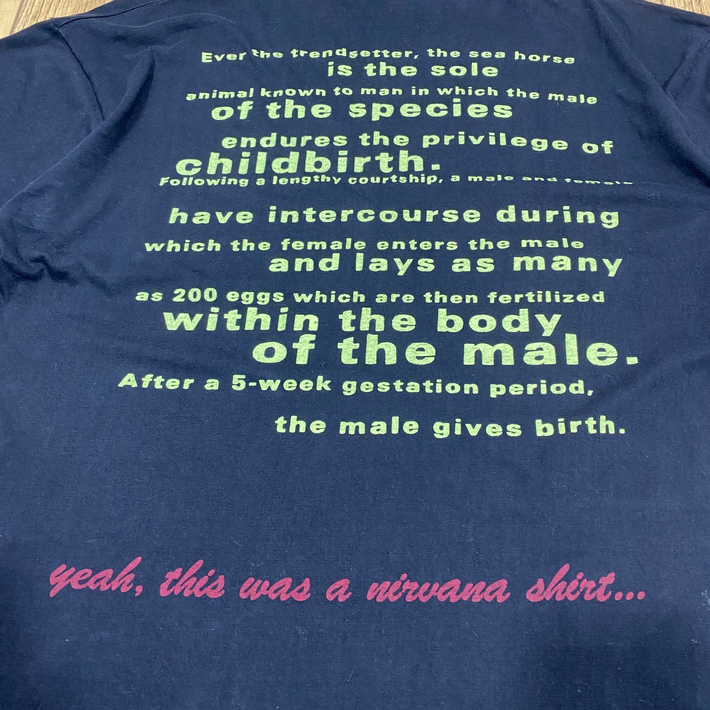 Nirvana 1993 All Apologies ''Seahorse'' Tee