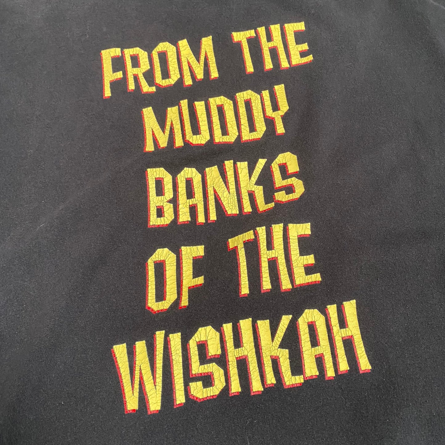 Nirvana 1996 From The Muddy Banks Of The Wishkah Tee