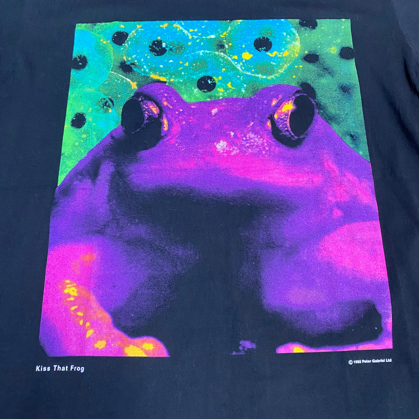 Peter Gabriel 1992 Kiss That Frog Tee