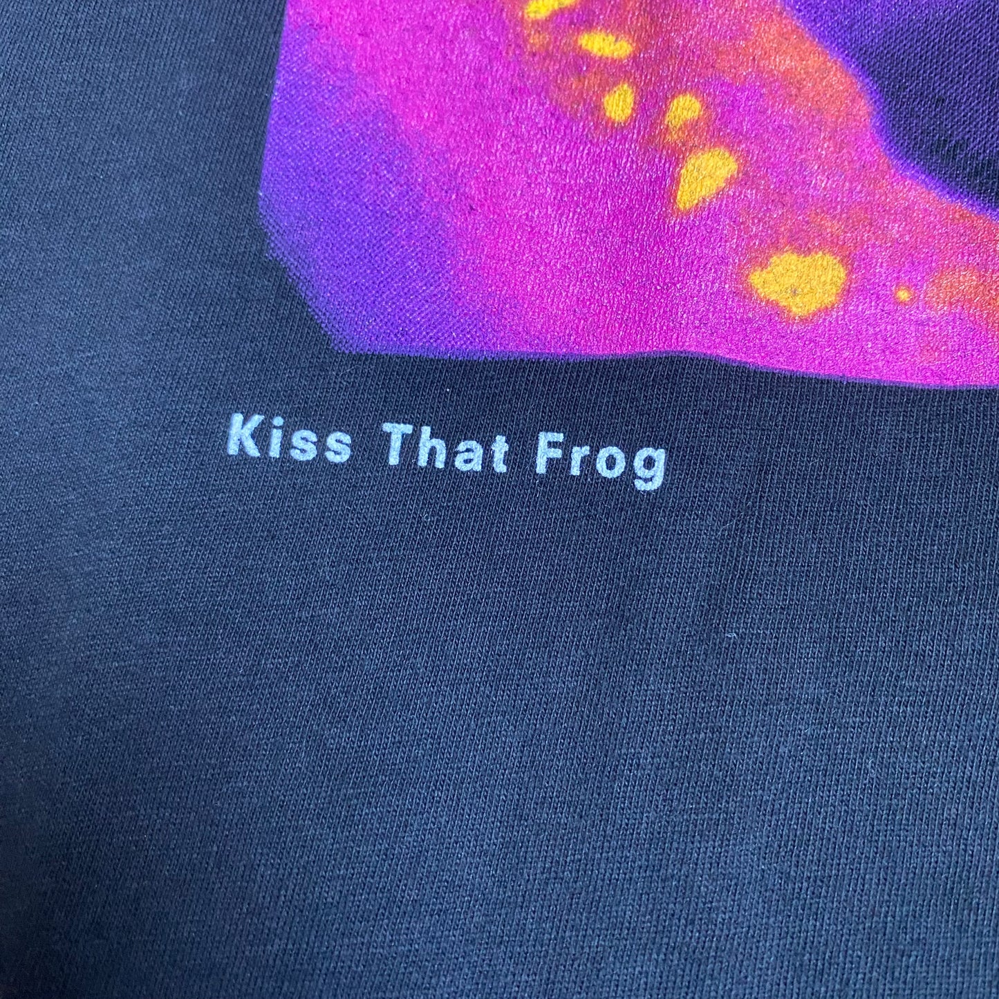 Peter Gabriel 1992 Kiss That Frog Tee