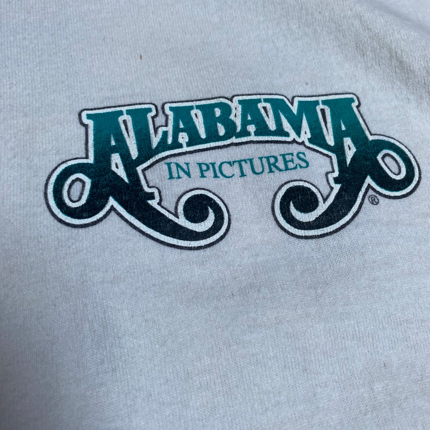 Alabama 1995 In Pictures Tee