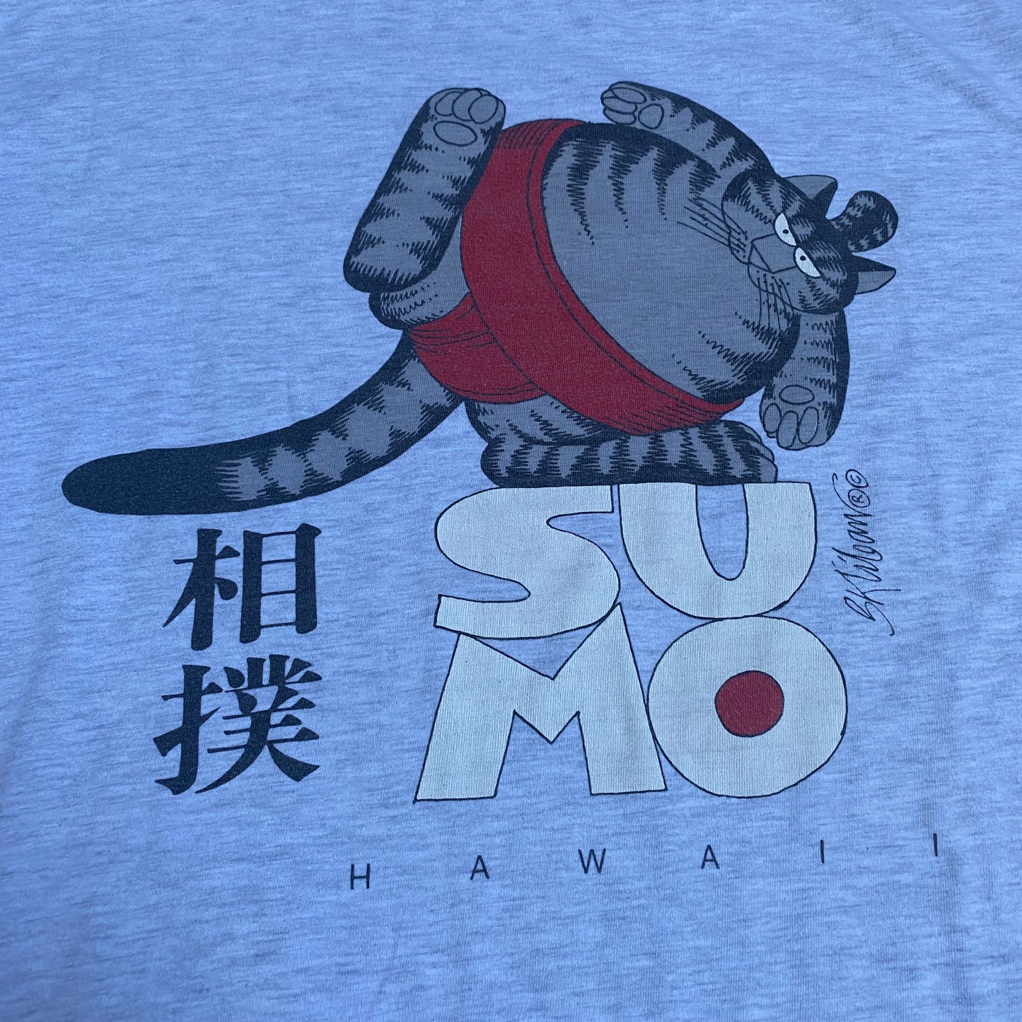 B Kliban 90's Sumo Hawaii Crazy Shirts Tee