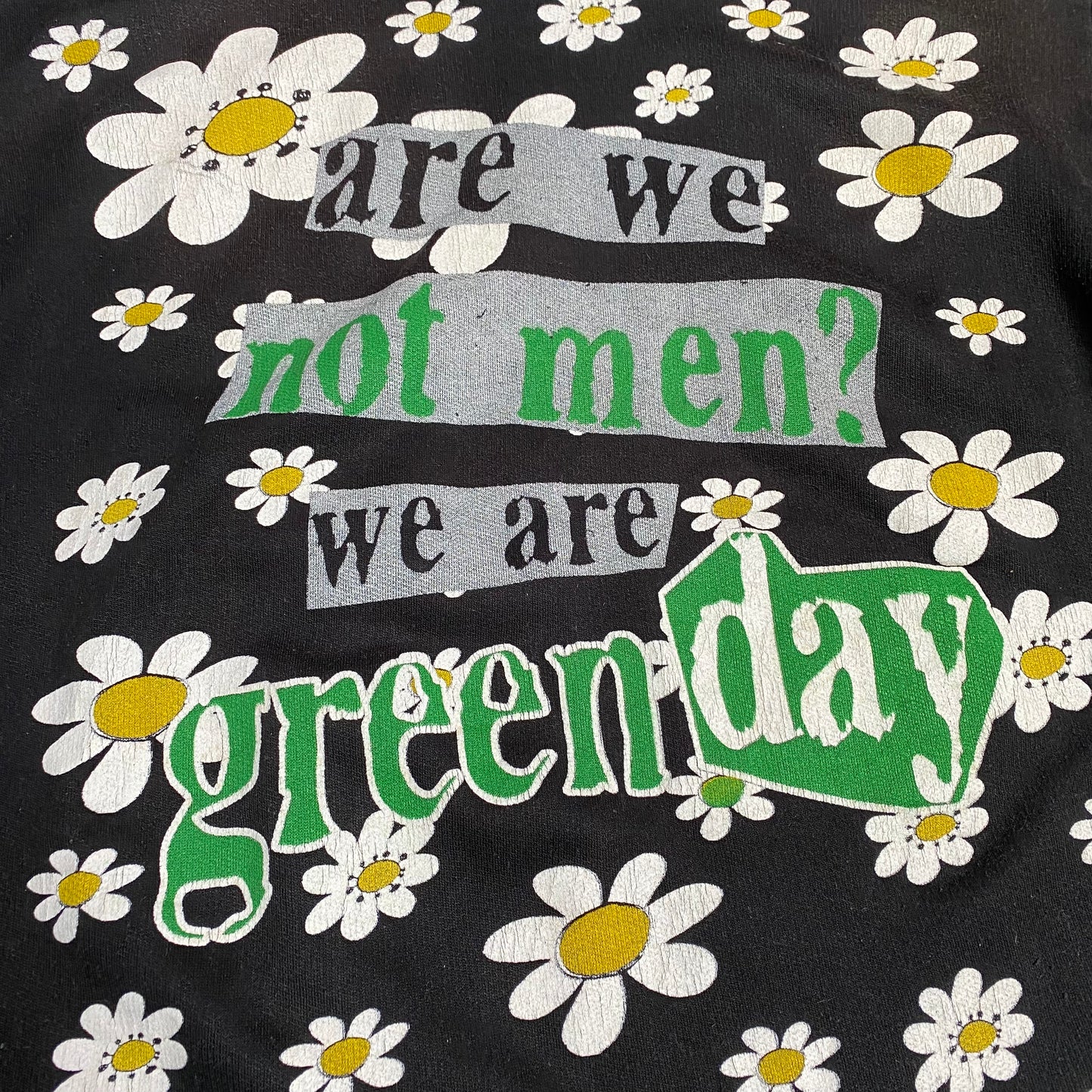 Green Day 90's Are We Not Men? Hoodie